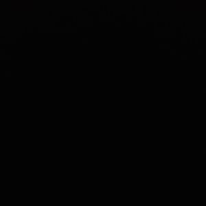 Meet your Posher, Hunter